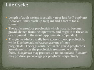 Visceral Larva Migrans Infection with dog or cat round wormsToxocara canis; Toxocara catisUnderdiagnosed based on seroprevalence surveysHeavy infections associated with fever, cough, nausea, vomiting, hepatomegaly, and eosinophiliaUncommon in adultsOcular type more common in adultsDiagnosis-ELISAThiabendazole: 25 mg/kg bid X 5 days