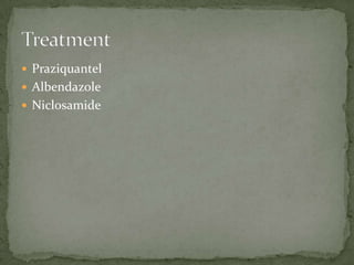 Site in host: wall of SI