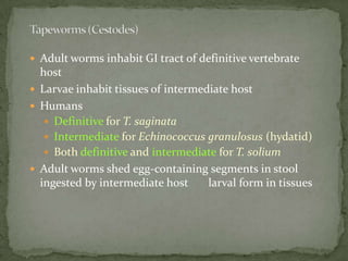 Portal of entry: skin