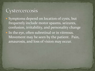 Infective stage: filariform larva