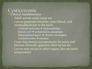 Sources of infection: larvae in soil; autoinfection
