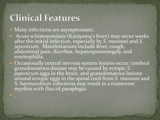 Clinical FeaturesFrequently asymptomatic.  Gastrointestinal symptoms include abdominal pain and diarrhea.  Pulmonary symptoms (including Loeffler’s syndrome) can occur during pulmonary migration of the filariform larvae.  Dermatologic manifestations include urticarial rashes in the buttocks and waist areas.  Disseminated strongyloidiasis occurs in immunosuppressed patients, can present with abdominal pain, distension, shock, pulmonary and neurologic complications and septicemia, and is potentially fatal.  Blood eosinophilia is generally present during the acute and chronic stages, but may be absent with dissemination.