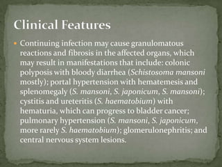 Diagnostic findingsMicroscopyTreatment:The drug of choice for the treatment of uncomplicated strongyloidiasis is ivermectin with albendazole* as the alternative.  All patients who are at risk of disseminated strongyloidiasis should be treated. 