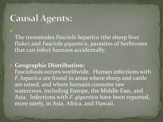 Summary—Clinical FindingsDefective cell-meditated immunity: steroids, burns, lymphomas, AIDS (?)Gl symptoms in about two-thirds:Abdominal painBloatingDiarrheaConstipationWheezing, SOB, hemoptysis