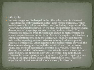 Summary-Clinical FindingsEosinophilia 60-95%Less if on steroids 