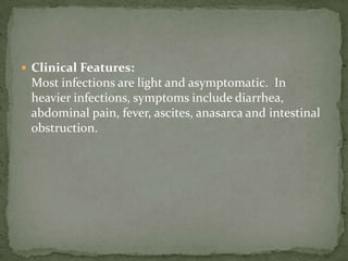 2nd Intermediate host: freshwater fish