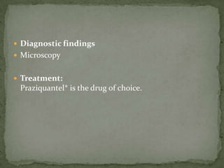 Infective stage: plerocercoid larvae