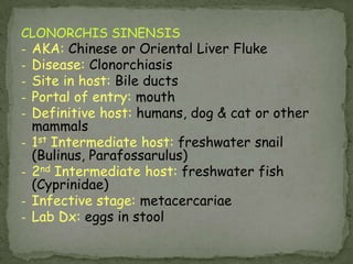 Sources of infection: plerocercoid in freshwater fish