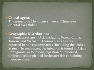 Proglottids of Diphyllobothrium latum.  These proglottids tend to be passed in strands of variable length in the stool.  The proglottids tend to be broader than long. 