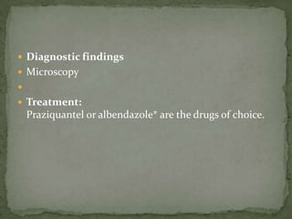 Life Cycle:Immature eggs are passed in feces -oncospheres -develop into a coracidia .  After ingestion by a suitable freshwater crustacean (the copepod first intermediate host) the coracidia develop into procercoid larvae .  second intermediate host, typically minnows and other small freshwater fish, the procercoid larvae are released from the crustacean and migrate into the fish flesh where they develop into a plerocercoid larvae (sparganum)  plerocercoid larvae are the infective stage for humans.  Because humans do not generally eat undercooked minnows and similar small freshwater fish, these do not represent an important source of infection.   