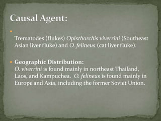 Life Cycle:  After ingestion of the infected fish, the plerocercoid develop into immature adults and then into mature adult tapeworms which will reside in the small intestine.  The adults of D. latum attach to the intestinal mucosa by means of the two bilateral groves (bothria) of their scolex .  The adults can reach more than 10 m in length, with more than 3,000 proglottids.  Immature eggs are discharged from the proglottids (up to 1,000,000 eggs per day per worm) and are passed in the feces . 