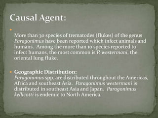 Egg packets of Dipylidium caninum:Proglottids of Dipylidium caninum contain characteristic egg packets that are round to ovoid and contain 5 to 15 (sometimes more) eggs each.  