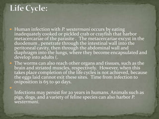 Causal Agent:Dipylidiumcaninum(the double-pored dog tapeworm) mainly infects dogs and cats, but is occasionally found in humans.Geographic Distribution:Worldwide.  Human infections have been reported in Europe, the Philippines, China, Japan, Argentina, and the United States