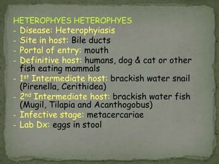 Intermediate host: DO NOT require an IH