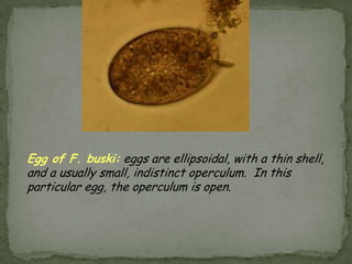 Portal of entry: mouth