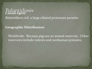 For asymptomatic infections, iodoquinol, paromomycin, or diloxanidefuroate are the drugs of choice.  For symptomatic intestinal disease, or extraintestinal, infections (e.g., hepatic abscess) the drugs of choice are metronidazole or tinidazole, immediately followed by treatment with iodoquinol, paromomycin, or diloxanidefuroate. Treatment: