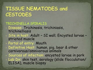 Taenia egg.  Note the thick, "striated" shell and several of the larval hooks; approximate size = 40 µm. 