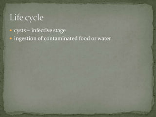 Balantidium coliDisease:Balantidiasis;balantidiosis; balantidial dysentery 