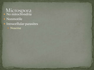 No mitochondriaNonmotileIntracellular parasitesNosemaMicrospora