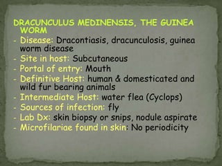 Infective stage: metacercariae 