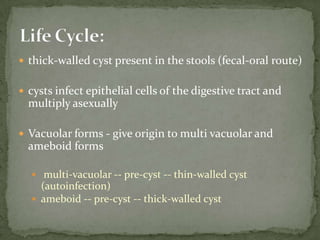 Most cases are asymptomatic.  Clinical manifestations, when present, include persistent diarrheaoccasionally dysenteryabdominal painweight loss.  Symptoms can be severe in debilitated persons.Clinical Features: