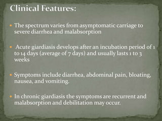 Cyst-like forms appear round with large, central vacuole-like body. The nuclei in the peripheral cytoplasmic rim are clearly visible, staining purple.