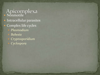 NonmotileIntracellular parasitesComplex life cyclesPlasmodiumBabesiaCryptosporidiumCyclosporaApicomplexa