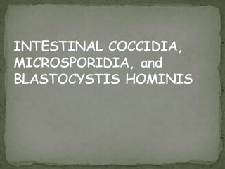 Site in host:upper SI