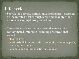 Causal Agent:GiardiaintestinalisGiardialambliaGeographic Distribution:Worldwide, more prevalent in warm climates, and in children.Giardisis