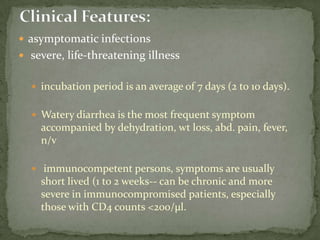 (small intestine) excystationTrophozoites multiply (lumen of the proximal small bowel )-- free or attached to the mucosa by a ventral sucking disk .  Encystation(colon).  cyst (nondiarrhealfeces )Life Cycle: