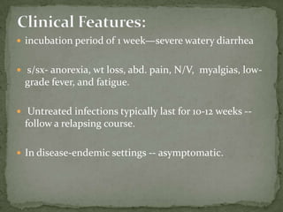 asymptomatic infections severe, life-threatening illnessincubation period is an average of 7 days (but can range from 2 to 10 days).  Watery diarrhea is the most frequent symptom, and can be accompanied by dehydration, weight loss, abdominal pain, fever, nausea and vomiting. Clinical Features: