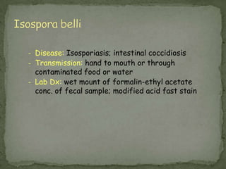 Laboratory Diagnosis:Acid-fast staining methodsimmunofluorescencemicroscopy method of choice (followed closely by enzyme immunoassays)
