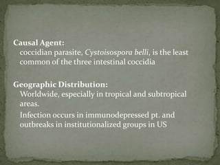 Oocysts stained by the modified acid-fast method: against a blue-green background, the oocysts stand out in a bright red stain.  Sporozoites are visible inside the two oocysts to the right.