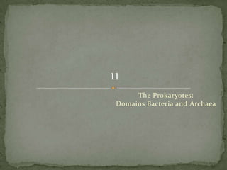 The Prokaryotes:Domains Bacteria and Archaea<br />11<br />