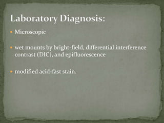 Lab Dx: Modified acid fast stain of a fecal smear</li></li></ul><li>Cyclospora oocysts from fresh stool fixed in 10% forma...