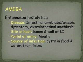 Entamoebahistolytica<br /><ul><li>Disease:Intestinal amebiasis/amebic dysentery, extraintestinalamebiasis