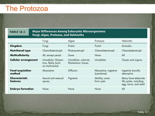 The Protozoa<br />Table 12.1<br />