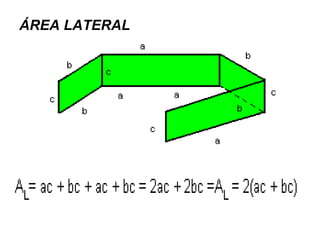 ÁREA LATERAL 
