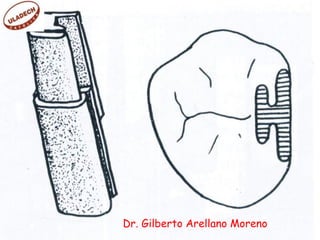 Dr. Gilberto Arellano Moreno
 