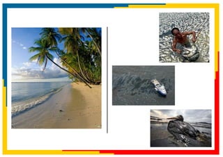 Paralelos da Violencia