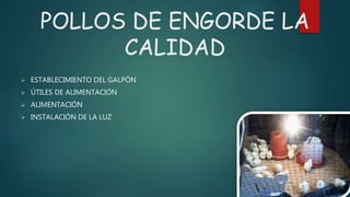 POLLOS DE ENGORDE LA 
CALIDAD 
 ESTABLECIMIENTO DEL GALPÓN 
 ÚTILES DE ALIMENTACIÓN 
 ALIMENTACIÓN 
 INSTALACIÓN DE LA LUZ 
 