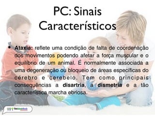 PC: Sinais
             Característicos
•   Ataxia: reflete uma condição de falta de coordenação
    dos movimentos podendo afetar a força muscular e o
    equilíbrio de um animal. É normalmente associada a
    uma degeneração ou bloqueio de áreas específicas do
    cérebro e cerebelo. Tem como principais
    consequências a disartria, a dismetria e a tão
    característica marcha ebriosa.
 