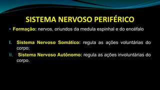 SISTEMA NERVOSO PERIFÉRICO
• Formação: nervos, oriundos da medula espinhal e do encéfalo
I. Sistema Nervoso Somático: regula as ações voluntárias do
corpo;
II. Sistema Nervoso Autônomo: regula as ações involuntárias do
corpo.
 