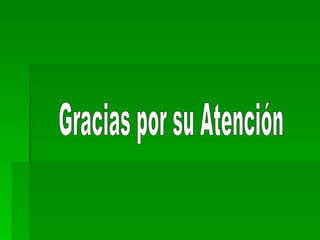 Gracias por su Atención 