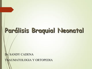PPaarráálliissiiss BBrraaqquuiiaall NNeeoonnaattaall 
Dr. SANDY CADENA 
TRAUMATOLOGIA Y ORTOPEDIA 
 