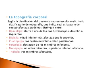    La topografía corporal
 Según la distribución del trastorno neuromuscular o el criterio
  clasificatorio de topografía, que indica cual es la parte del
  cuerpo afectada, podemos distinguir entre:
 Hemiplejía: afecta a una de los dos hemicuerpos (derecho o
  izquierdo)
 Diplejía: mitad inferior más afectada que la superior.

 Cuadriplejía: los cuatro miembros están paralizados.

 Paraplejía: afectación de los miembros inferiores.

 Monoplejía: un único miembro, superior o inferior, afectado.

 Triplejía: tres miembros afectados.
 