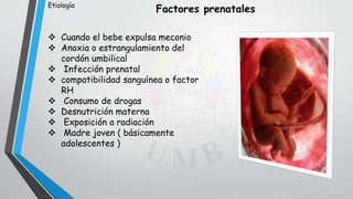  Cuando el bebe expulsa meconio
 Anoxia o estrangulamiento del
cordón umbilical
 Infección prenatal
 compatibilidad sanguínea o factor
RH
 Consumo de drogas
 Desnutrición materna
 Exposición a radiación
 Madre joven ( básicamente
adolescentes )
Factores prenatalesEtiología
 