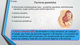 Factores posnatales
 Alteraciones cardiovasculares como : accidentes vasculares, malformaciones
vasculares, cirugía cardiaca, paro cardiorrespiratorio.
 estatus convulsivo.
 deshidratación grave.
 trastornos metabólicos.
estatus convulsivo (EC):se entiende la crisis convulsiva, de cualquier
etiología, que tiene una duración superior a 30 minutos, o la sucesión de
crisis convulsivas más breves pero sin recuperación de la conciencia
entre las mismas y todo ello con duración superior a 30 minutos.
Etiología
 