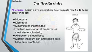 Clasificación clínica
PC atáxica: Lesión a nivel de cerebelo. Relativamente rara 5 a 10 %. Se
caracteriza por:
Hipotonía;
Dismetría;
Movimientos incordiados;
Temblor intencional: al empezar un
movimiento voluntario;
Alteración del equilibrio;
Marcha insegura con ampliación de la
base de sustentación.
Clasificación….
 