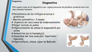 Diagnostico
Otro punto clave en el diagnostico son signos precoces de parálisis cerebral entre los
mas comunes tenemos:
Persistencia de los reflejos arcaicos o
primitivos
– Marcha automática > 3 meses
 Ausencia de reacciones de enderezamiento
Pulgar incluido en palma
Hiperextensión de ambas al suspenderlo por
axilas
Asimetrías (en la hemiplejia)
Anomalías del tono muscular: hipertonía /
hipotonía
Hiperreflexia, clonus, signo de Babinski,
Diagnostico…
 